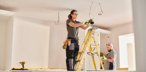 Best Affordable Emergency Electrician  in Birch Run, MI