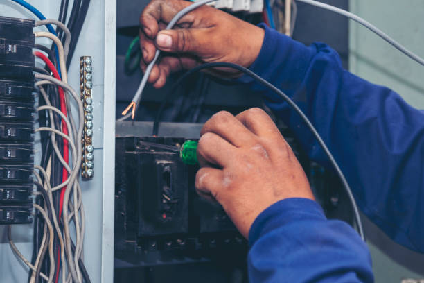 Best 24-Hour Electrician  in Birch Run, MI