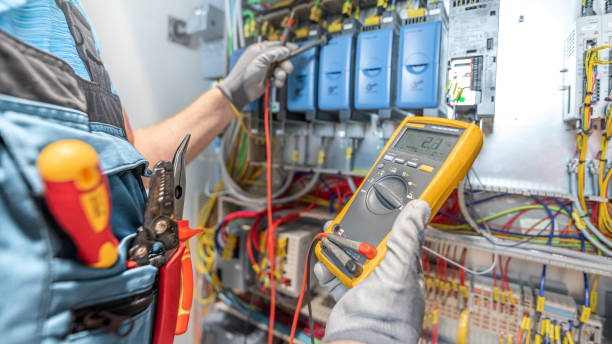 Best 24-Hour Electrician  in Birch Run, MI