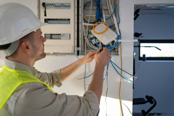 Best Electrical Troubleshooting Services  in Birch Run, MI